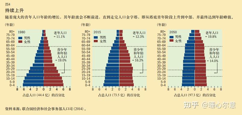 人口年龄结构金字塔ppt图片