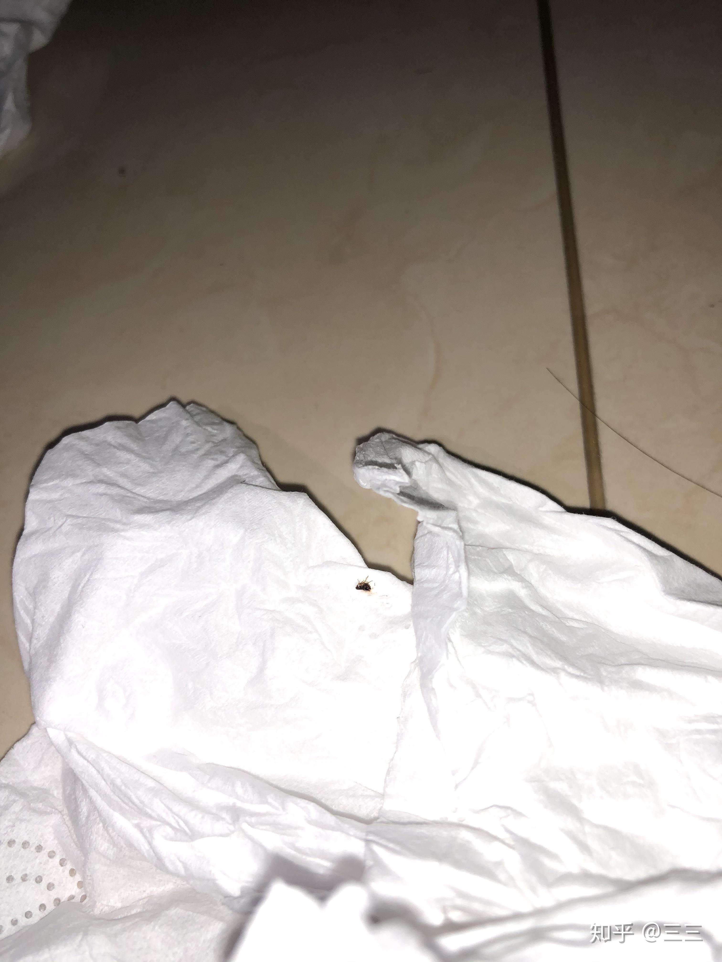 家里发现很小会跳的虫,一两毫米,黑色的,捏不死,捏完之后身体变得很薄