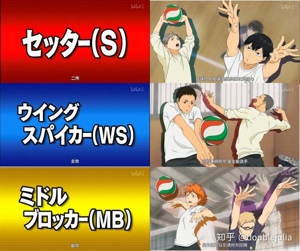 排球少年 漫画宣告完结 你有什么想对它说的吗 道宫结大地 双偶网