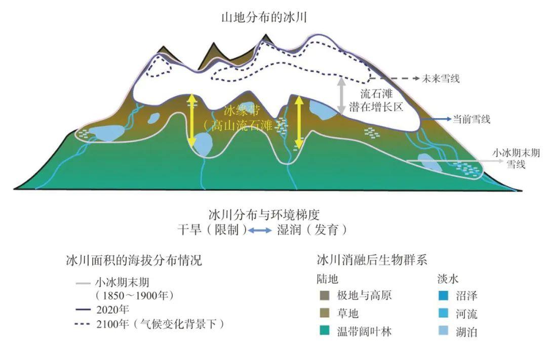 青藏高原北部高山冰缘带的“隐秘植物王国” - 知乎