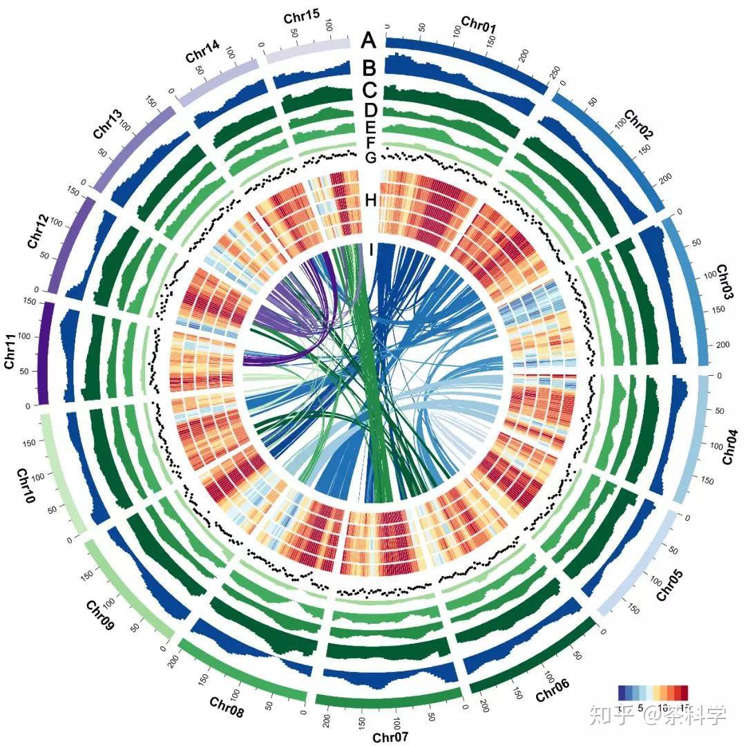 我国科学家首次完成小叶茶染色体级别的高质量参考基因组图谱