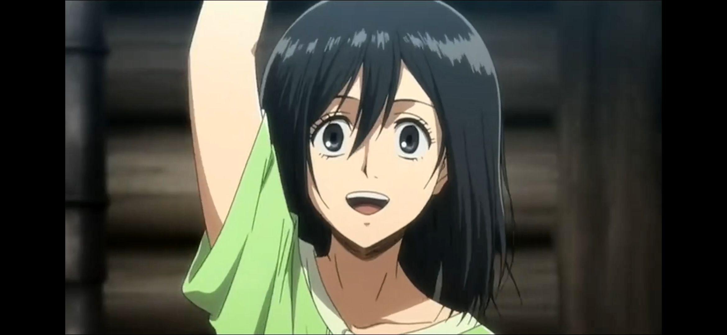 如何解读三笠外传? - 知乎