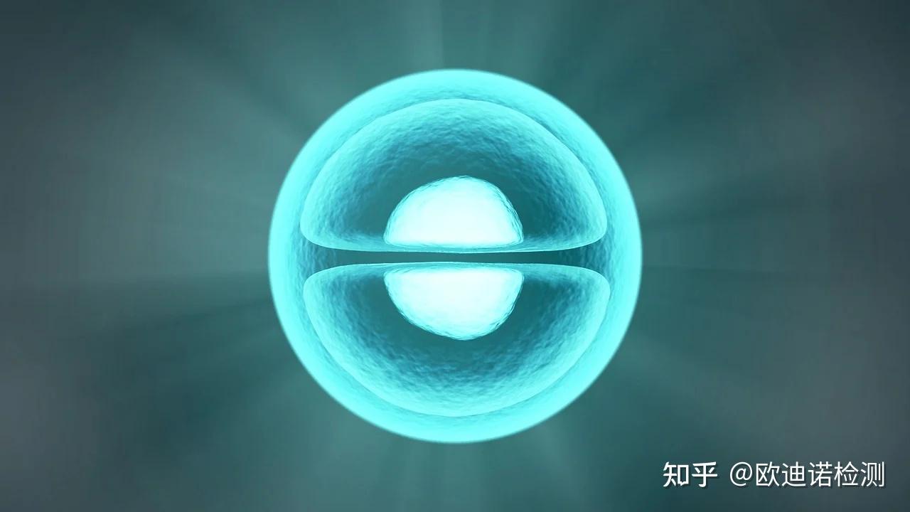 生物相容性检测 知乎