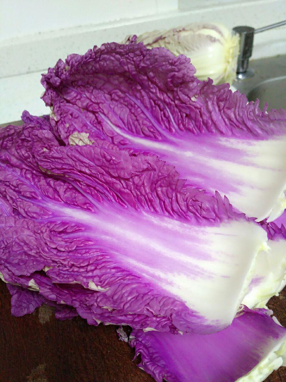 大家有没有知道这种紫色大白菜的? - 知乎