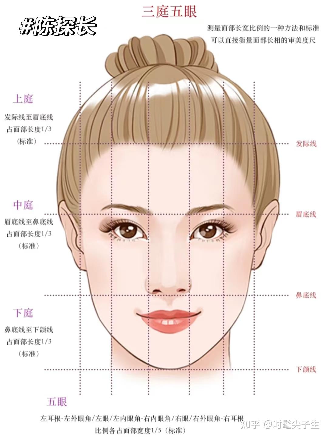 三庭五眼黄金比例