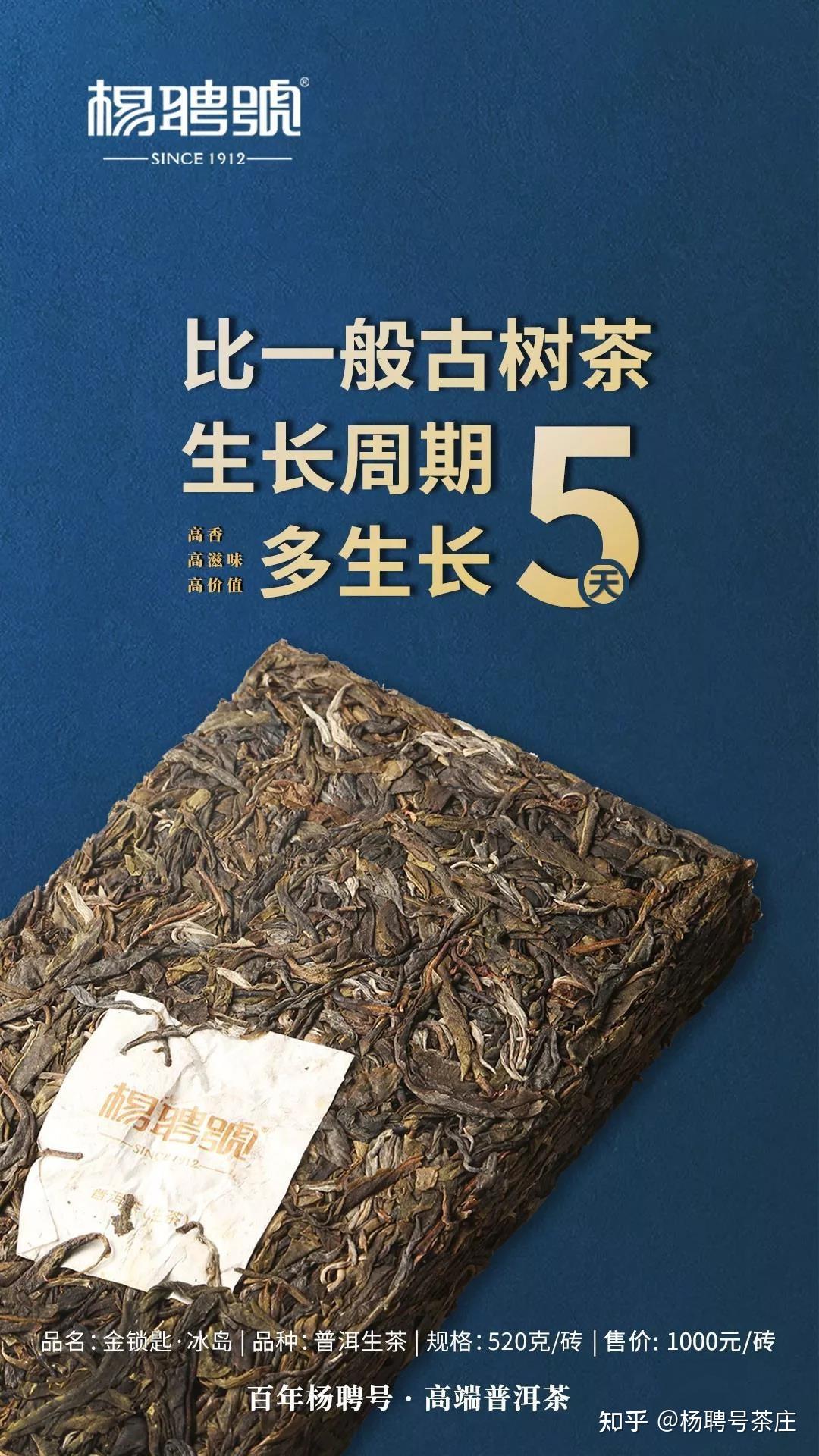 新品预告金锁匙冰岛砖比一般古树茶多生长5天