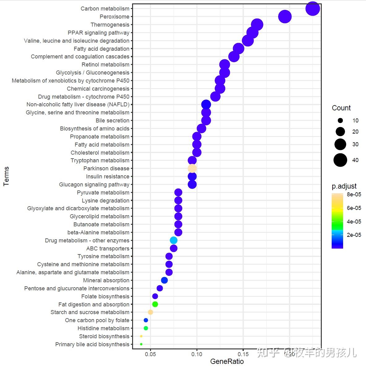 r語言ggplot2畫氣泡圖展示富集分析的結果