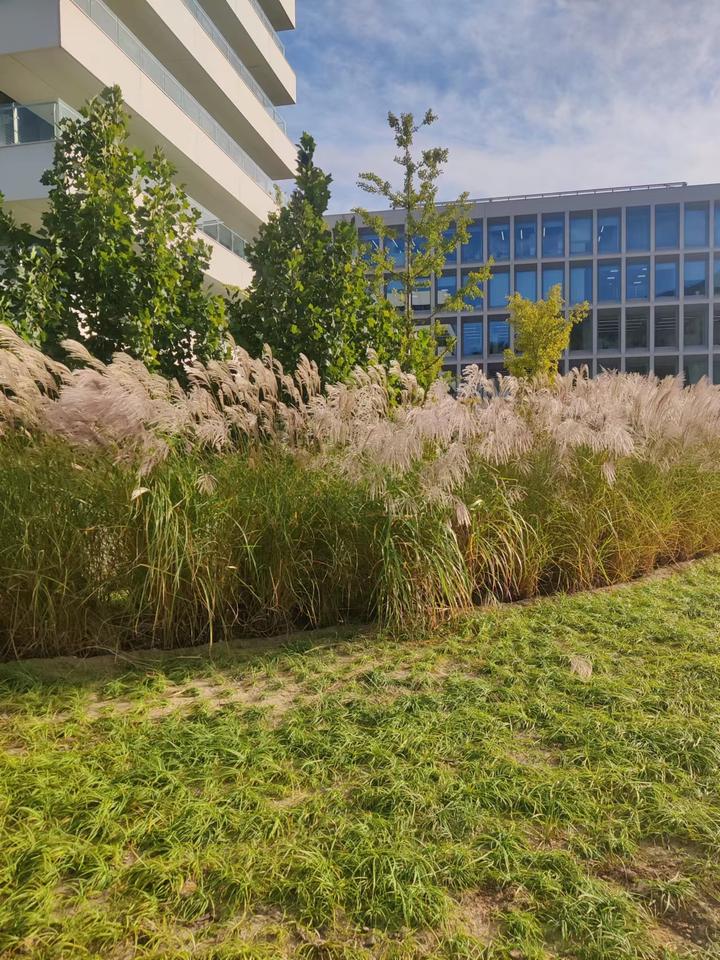 Java异常（二）：SneakyThrows注解的使用 知乎