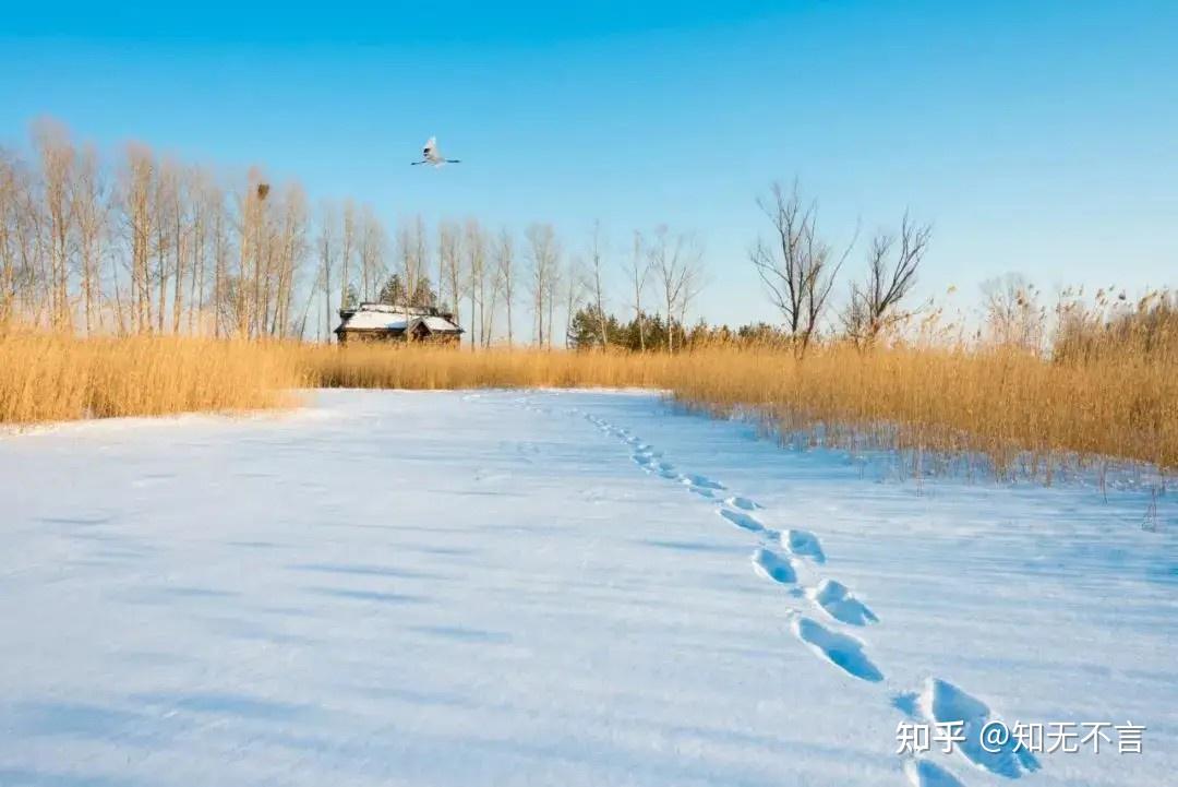 有哪些描寫雪景的古詩詞值得分享