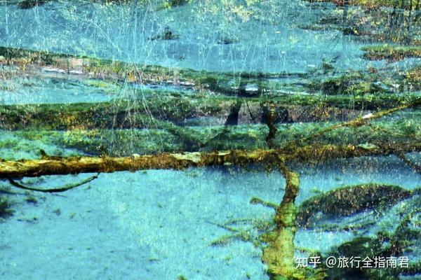 人间仙境、神向往的地方——超全九寨沟旅游攻略 - 知乎