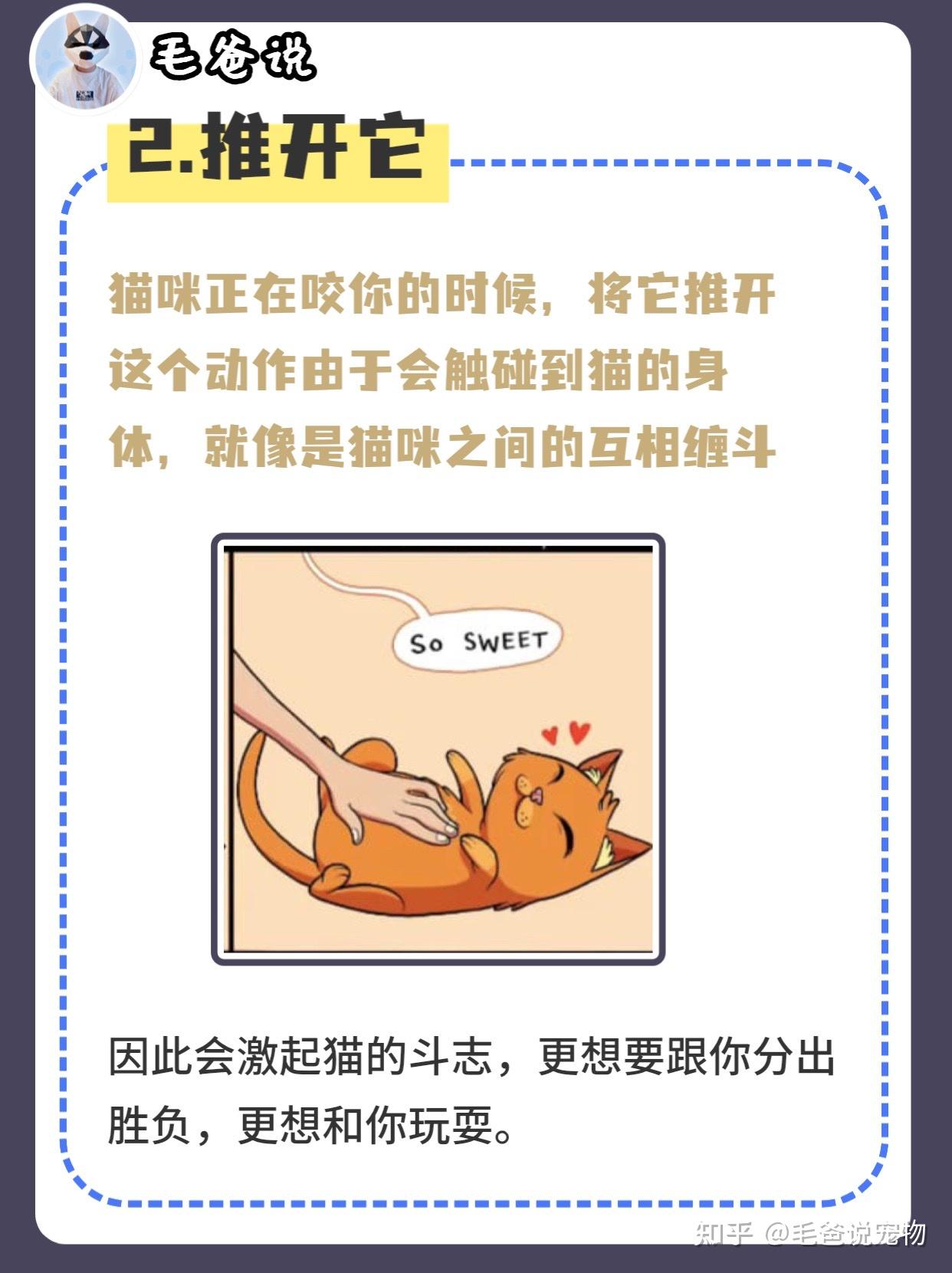 如果做这些动作，猫咪咬人会更上瘾? - 知乎