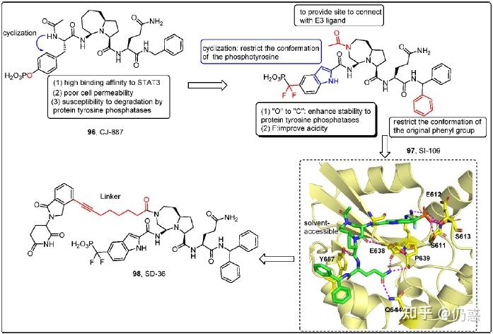 靶向stat3抗腫瘤小分子抑制劑的研究進展從磷酸化抑制到蛋白降解