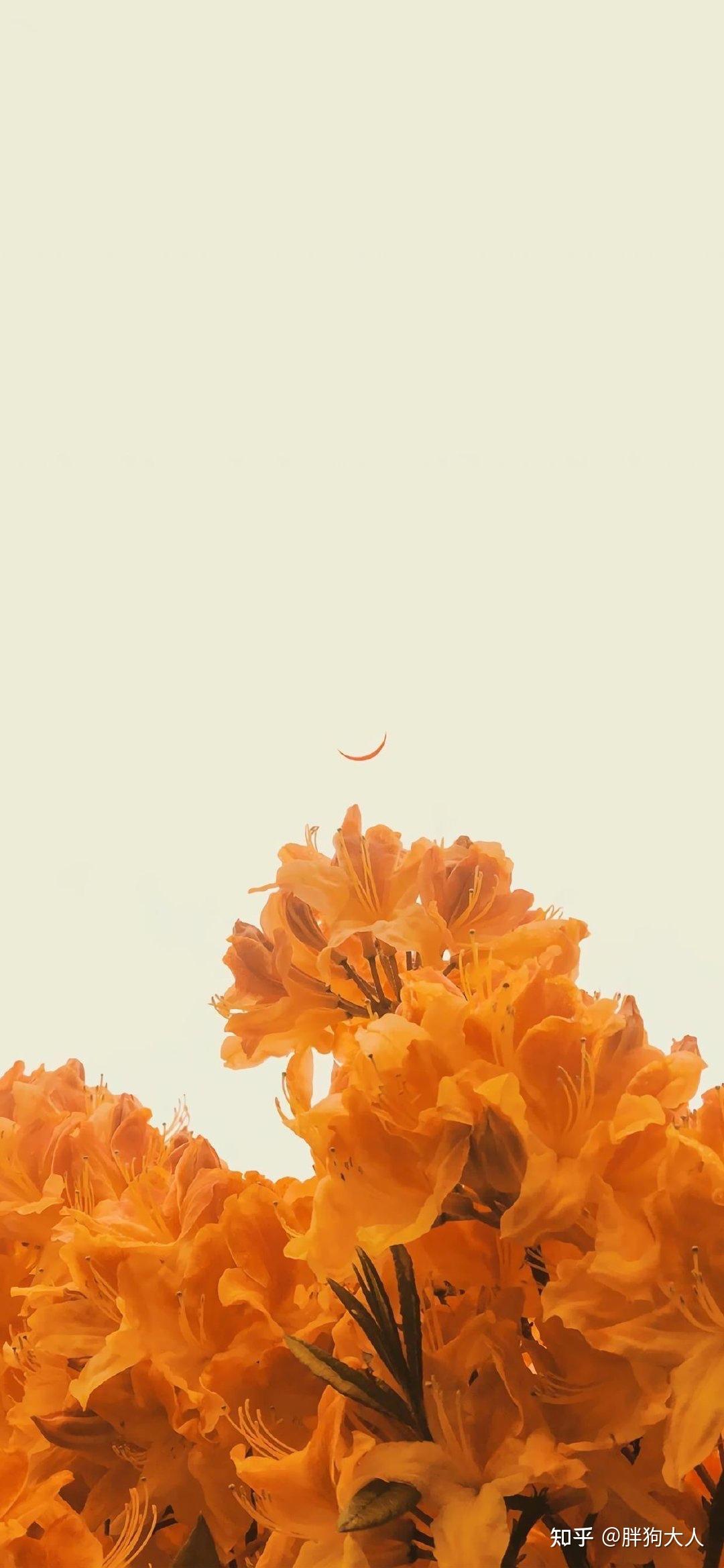 微信更新了大家有没有好看高质量的图片用来当微信状态图