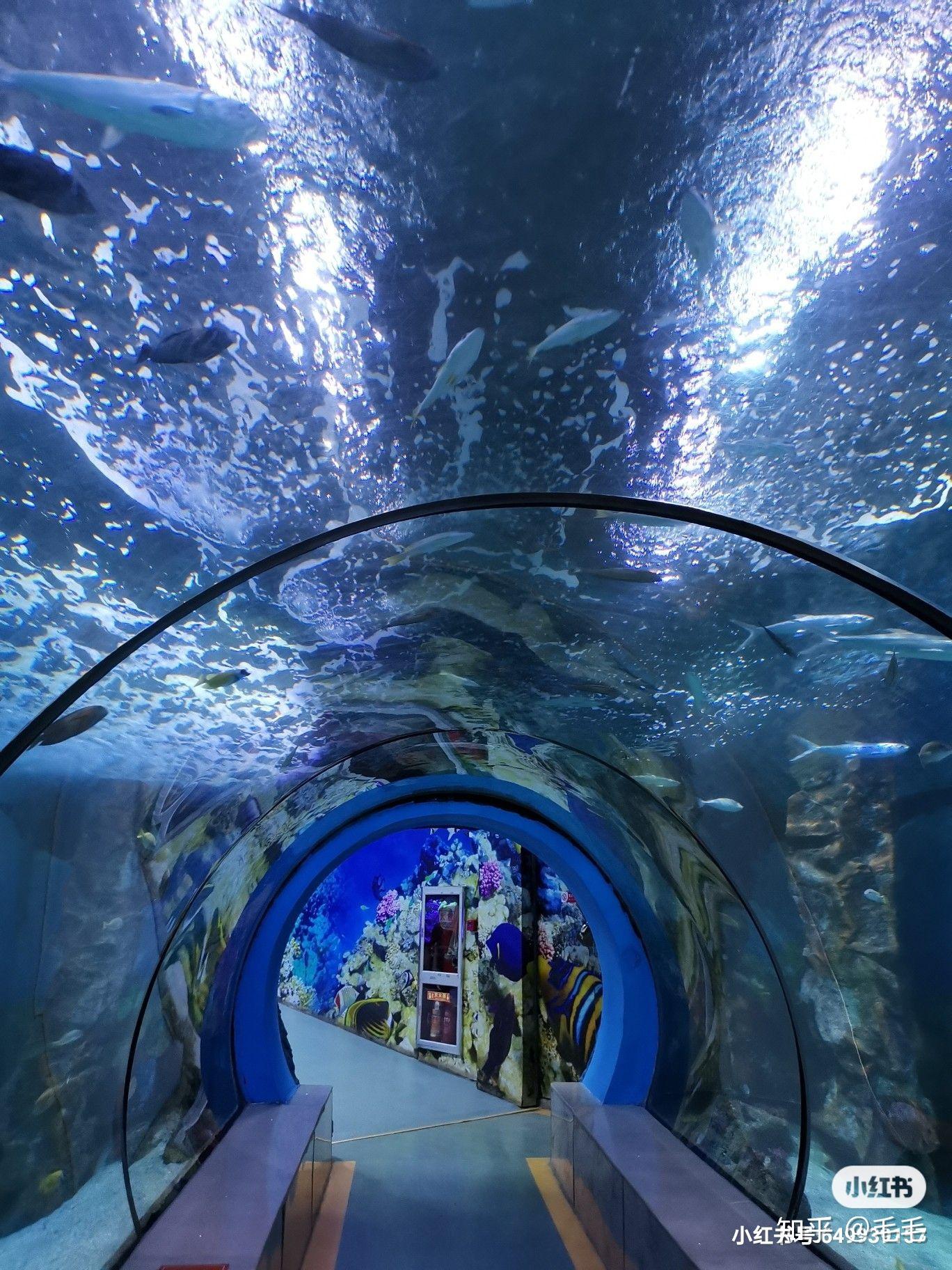 宁波海洋馆和海底世界图片