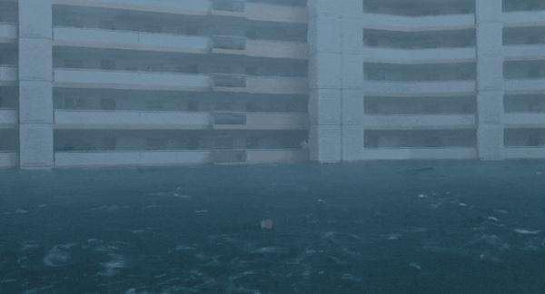 《巨洪》科幻+灾难，金多美高能新片