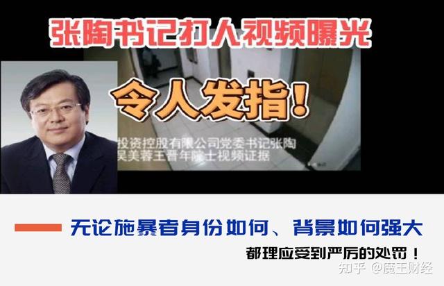 张陶事件是咋回事(张陶被双开!已批捕!)