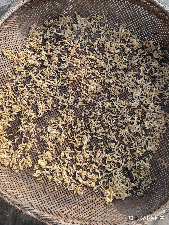 人，可以废物到什么程度？