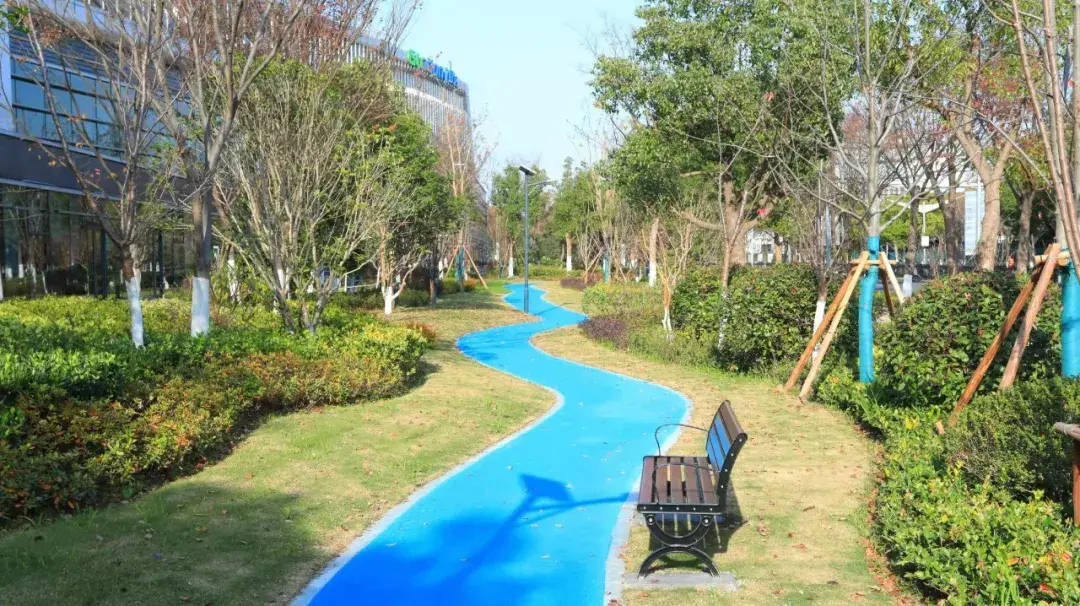 新虹街道环社区绿道