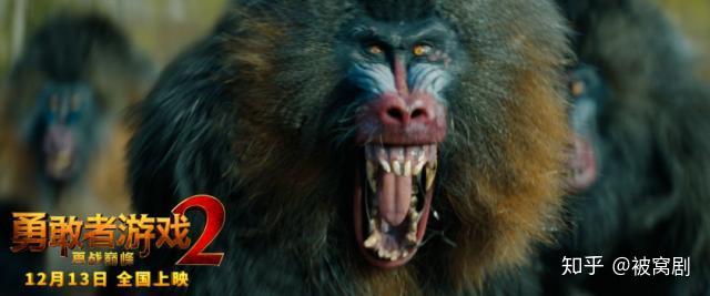 悬崖边,凶狠的山魈布下天罗地网,坐等强森一行人羊入虎口.