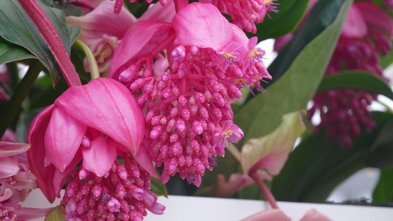 4. 保养清洗指南