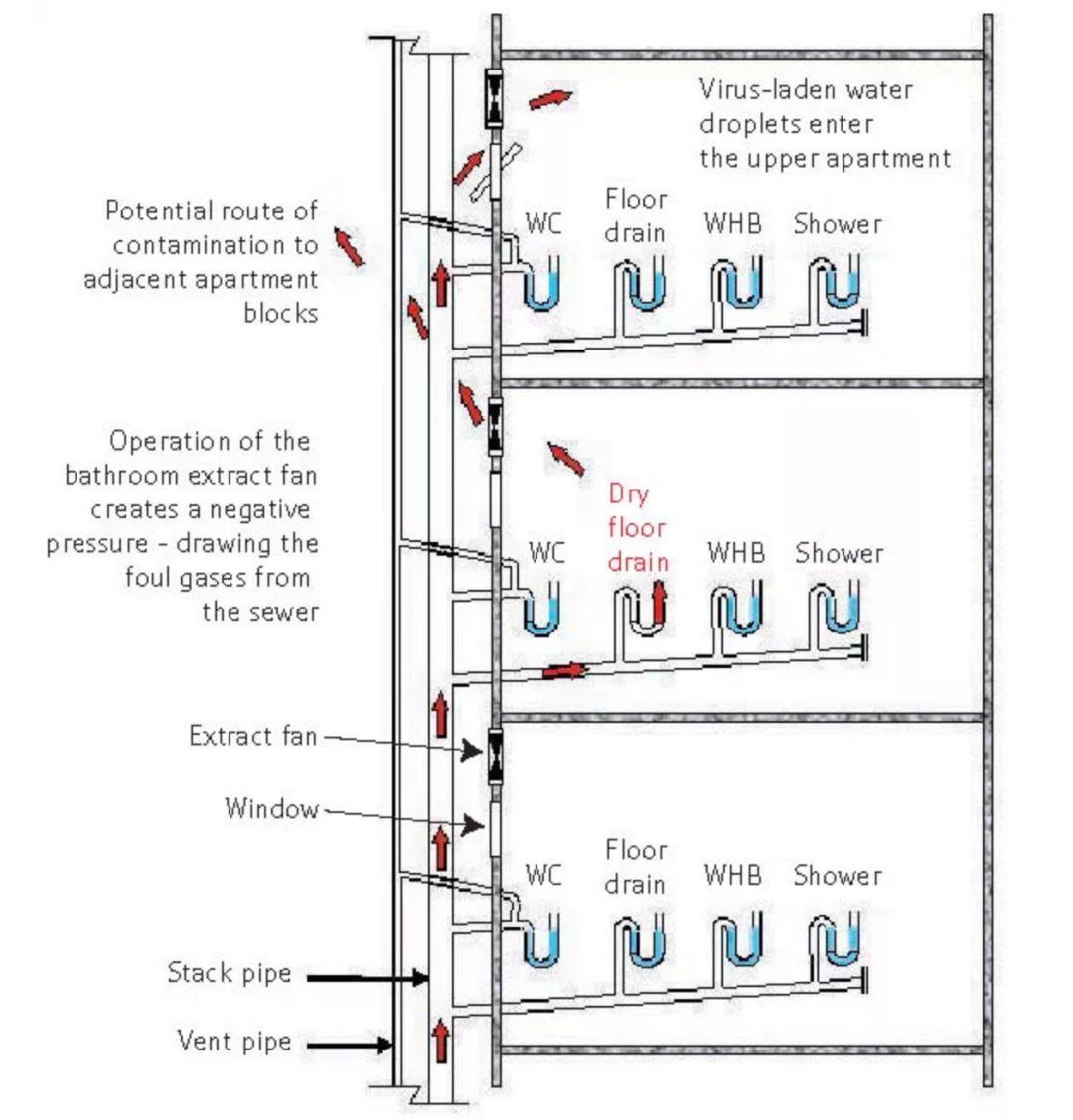 疫情当下别漏了家中这个高风险的地方非典曾通过这个地方