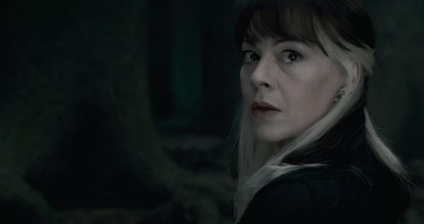 《哈利·波特》重温 | 高贵的最古老的布莱克家族