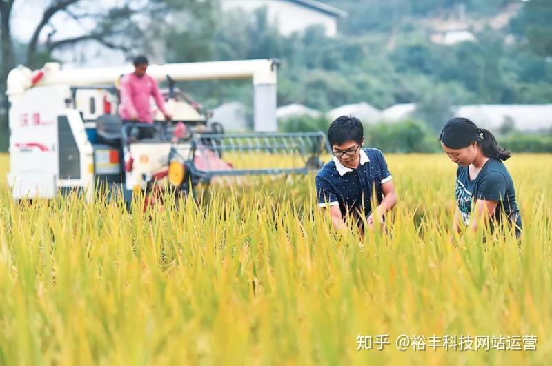 论文加工食品方面的研究_论文加工食品方面有哪些_食品加工方面的论文