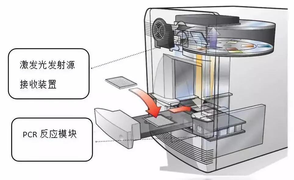 【从RNA提取到qPCR】实时荧光定量PCR背景介绍 - 知乎