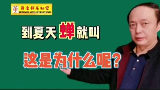 为什么一到夏天