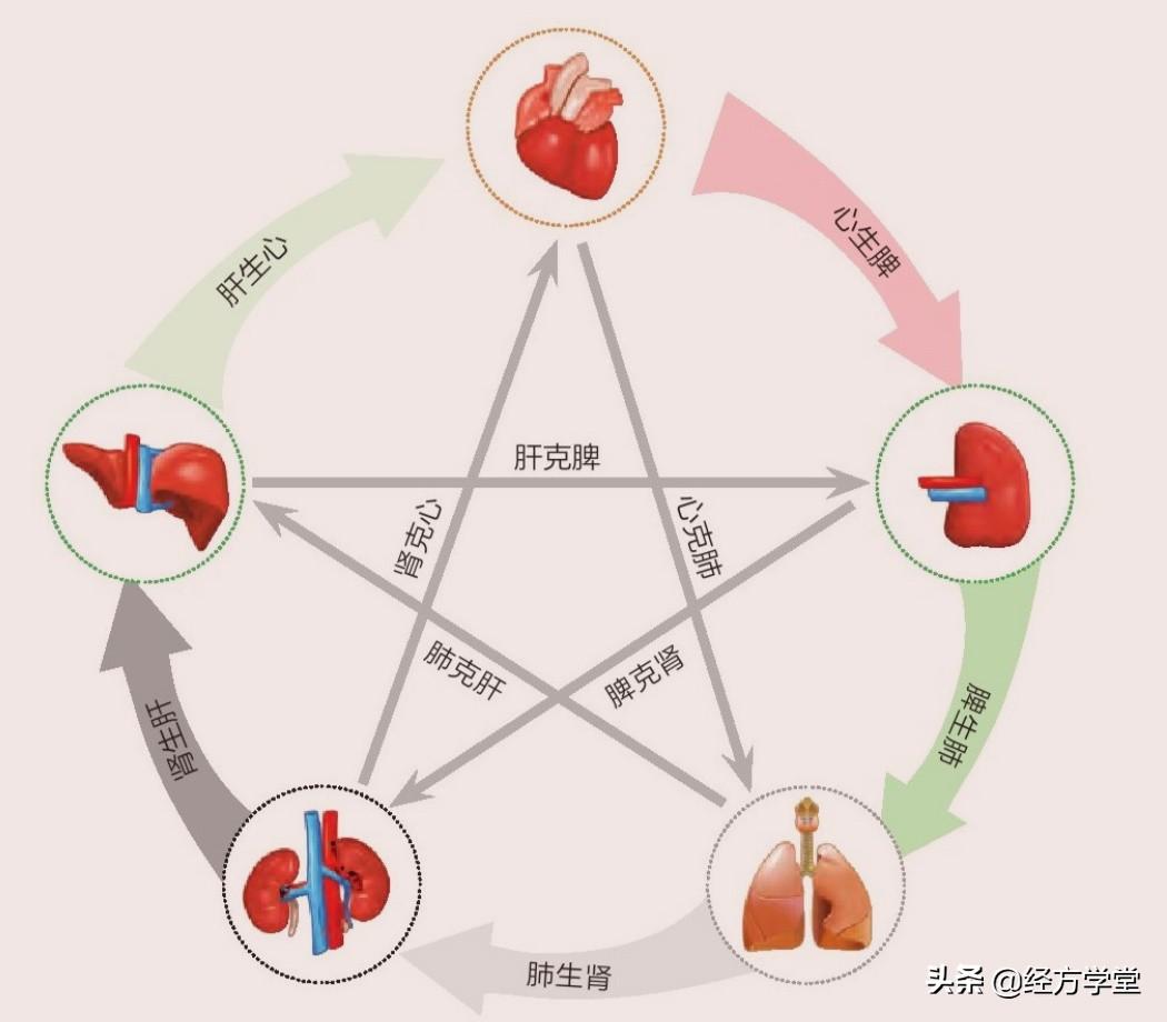 中医面诊之基础知识,五色-五味-五脏-五行 - 知乎