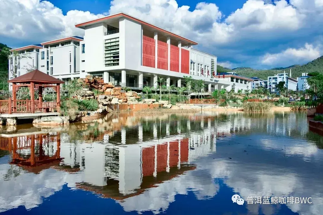 和蓝鲸一起喝咖啡吧普洱学院双向招聘洽谈会