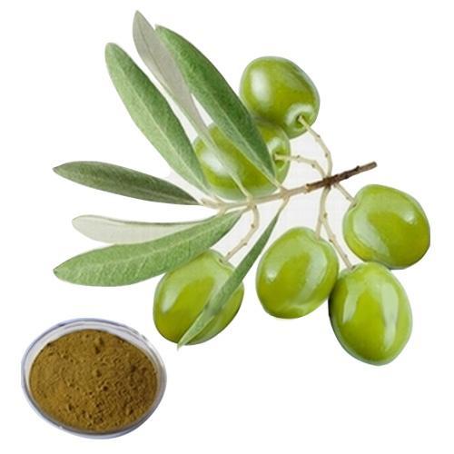护肤抗炎成分——油橄榄叶提取物科普