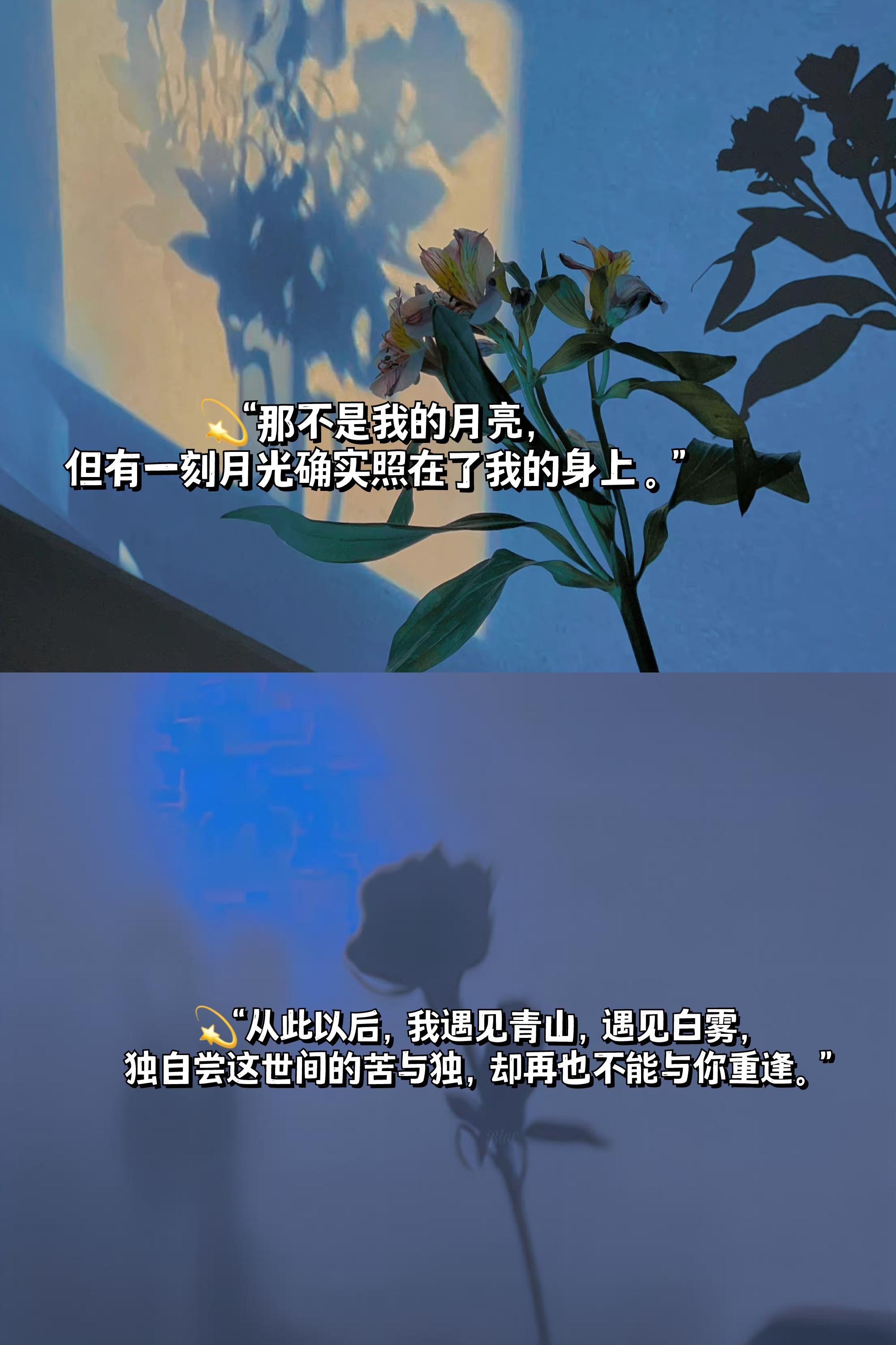 文案关于错过和遗憾你会怎样描写遗憾