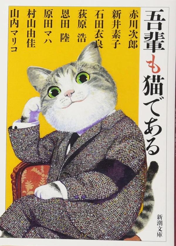 那些年在日本撸过的猫 知乎