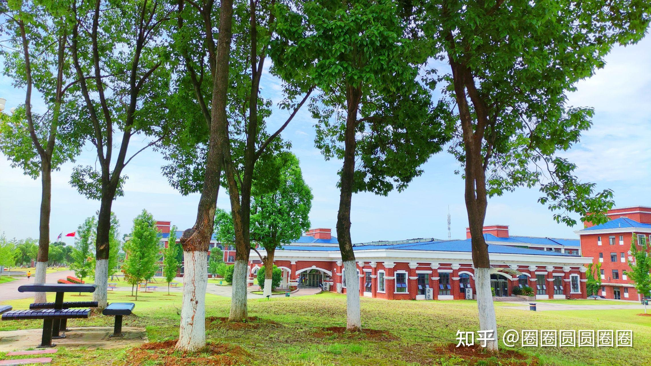 今年刚录取湖北健康职业学院,想问一下学校条件好吗,有网上传的那么不