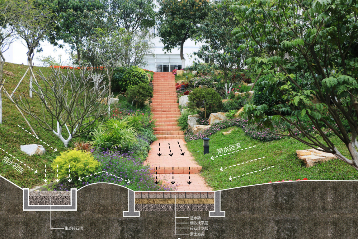 海綿城市乾貨│不止管理雨水這個海綿公園的功能有點多