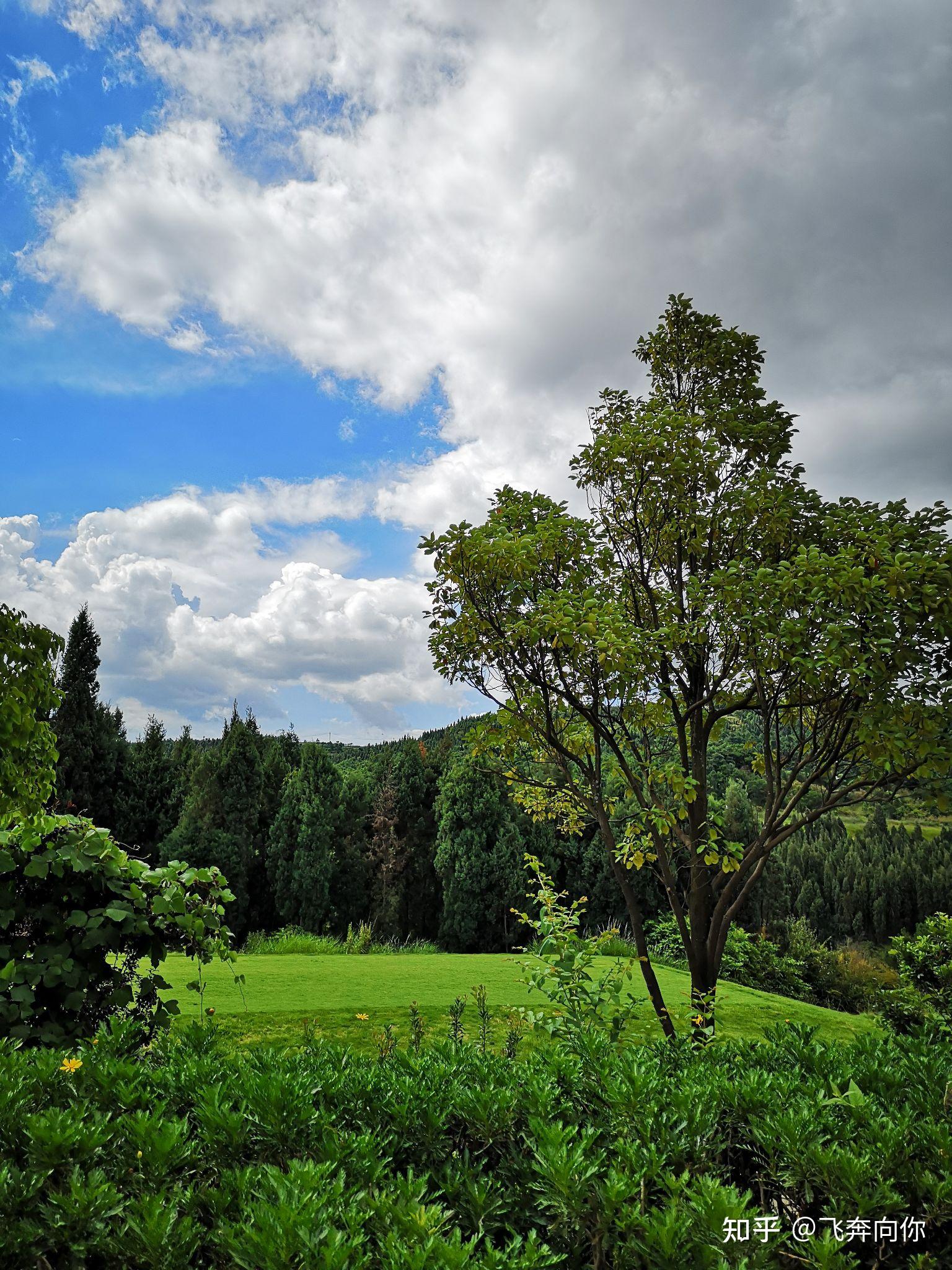 可以分享下你们拍的绝美天空吗? - 知乎