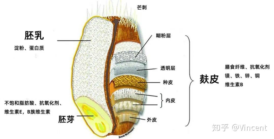 吃错燕麦,血糖和雄激素蹭蹭地长 - 知乎
