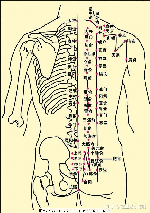 后背疼痛位置图片大全图片