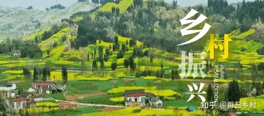 每日乡村告诉你，如何通过文化产业推动乡村振兴 - 知乎