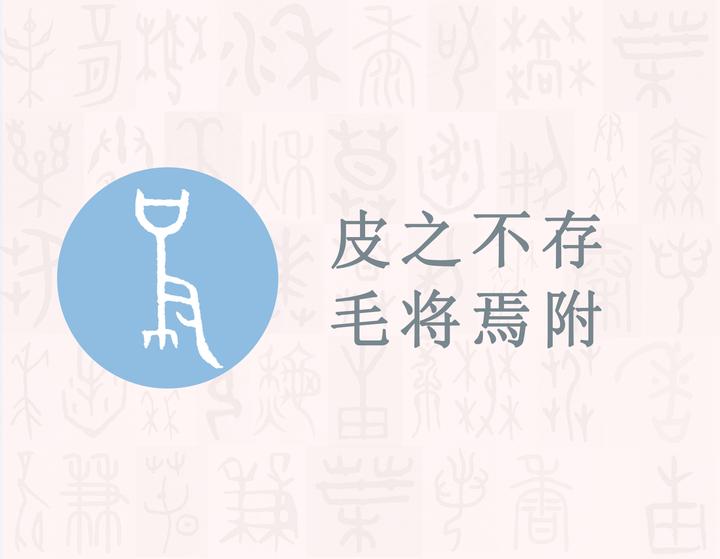 汉字的字元 鸟兽动物 皮 知乎