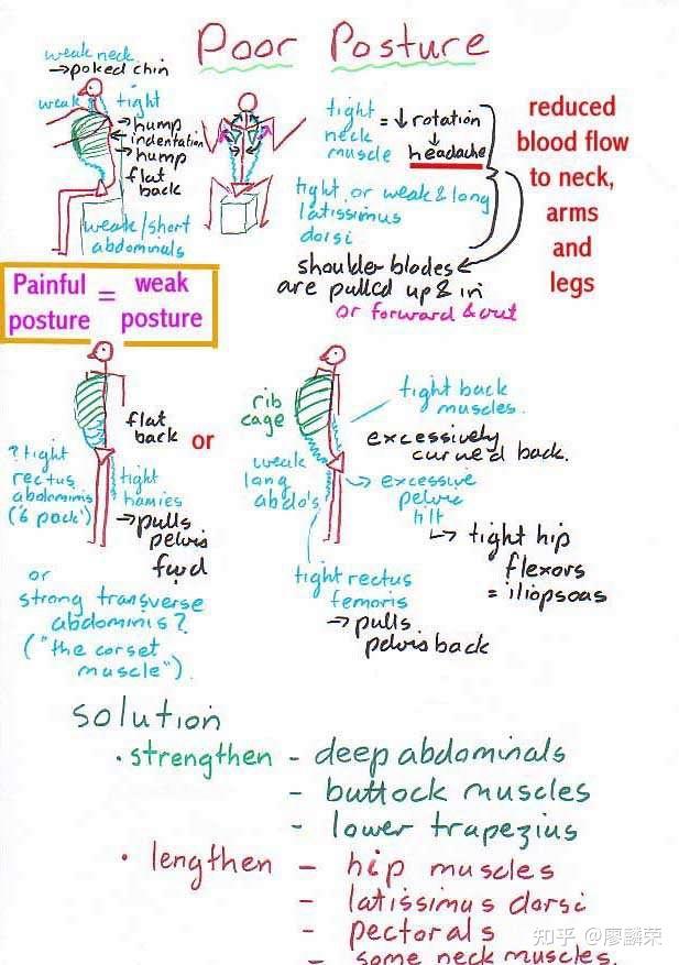 肌张力技术muscletonetechniques
