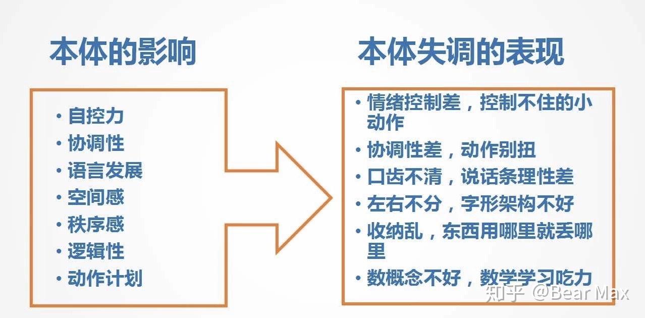 3 本体觉失调的表现动作计划性对大部分低年级孩子的影响不太显著,但