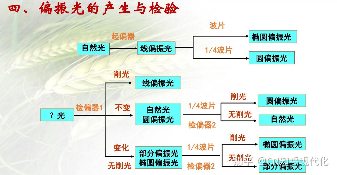 完全偏振光图片