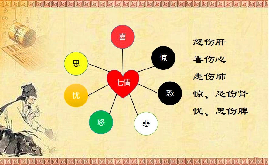中医说的人体之气是什么? - 知乎