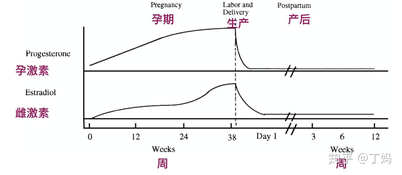 怀孕后激素水平变化图图片