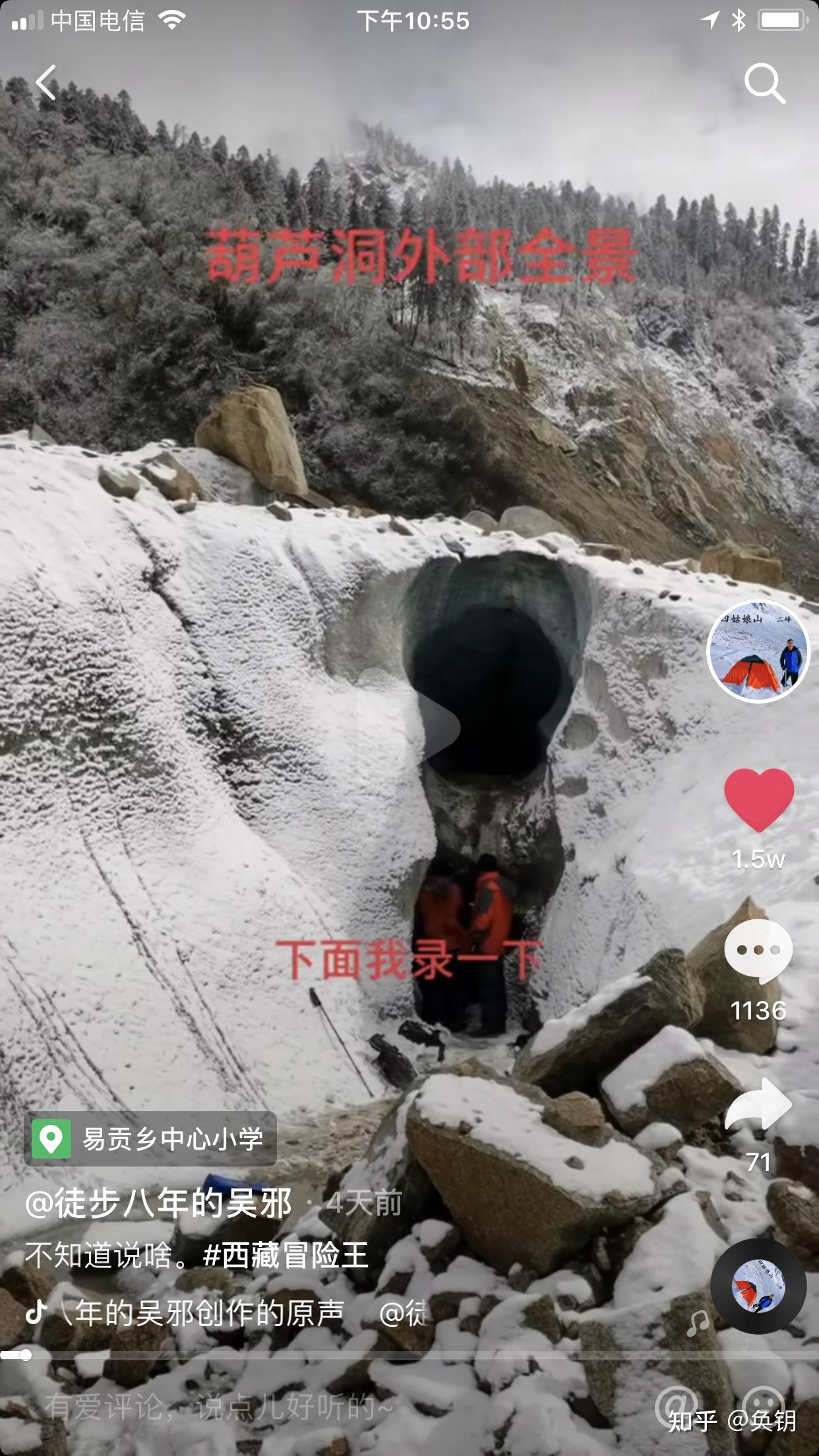 压力山大流浪狗鼻环男图片