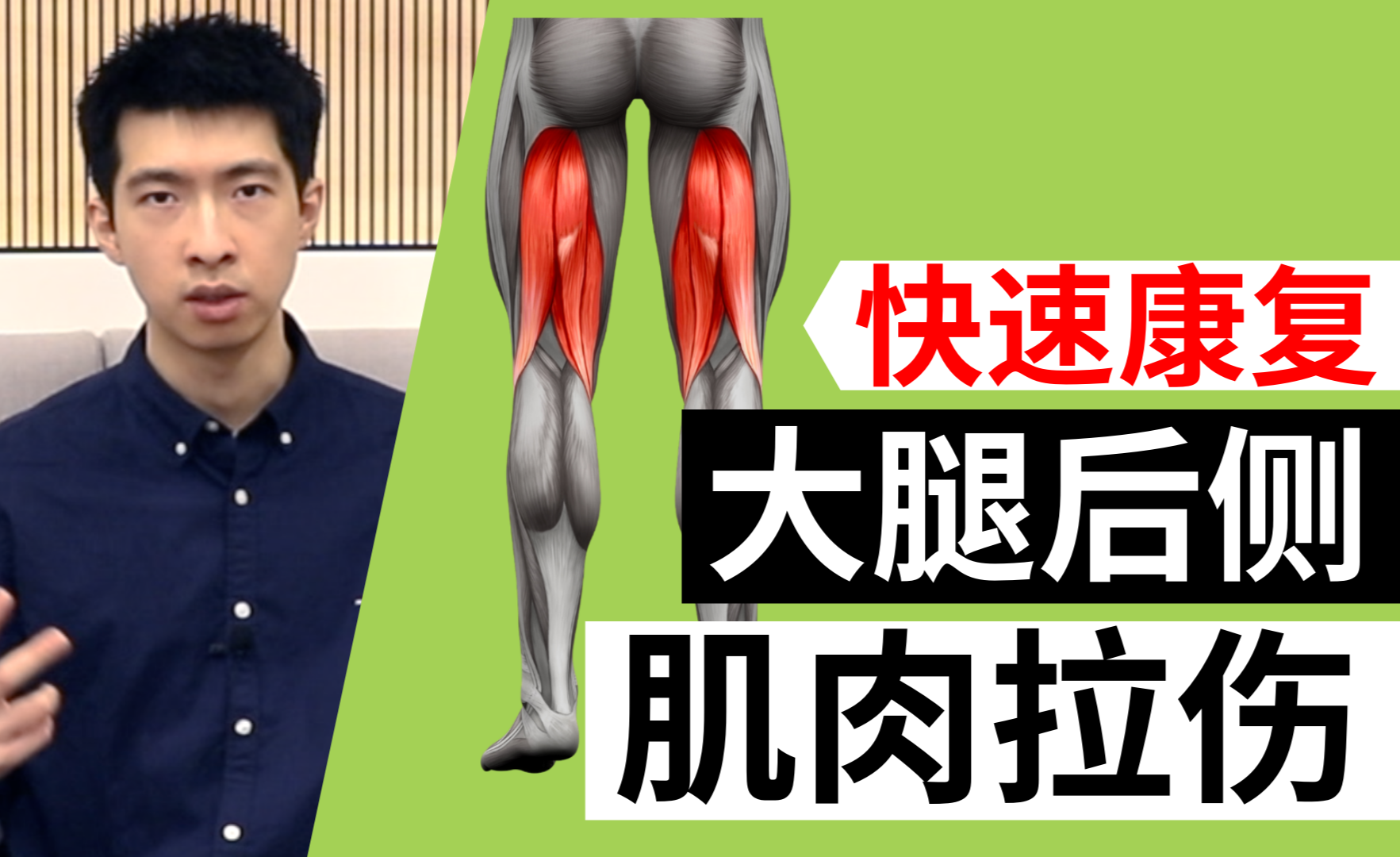 腘绳肌拉伤: 大腿后侧肌肉拉伤了怎么办 - 知乎