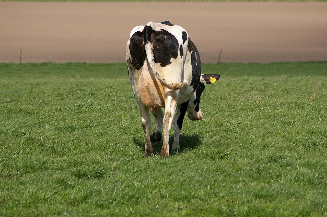 4. 炕板品牌精选