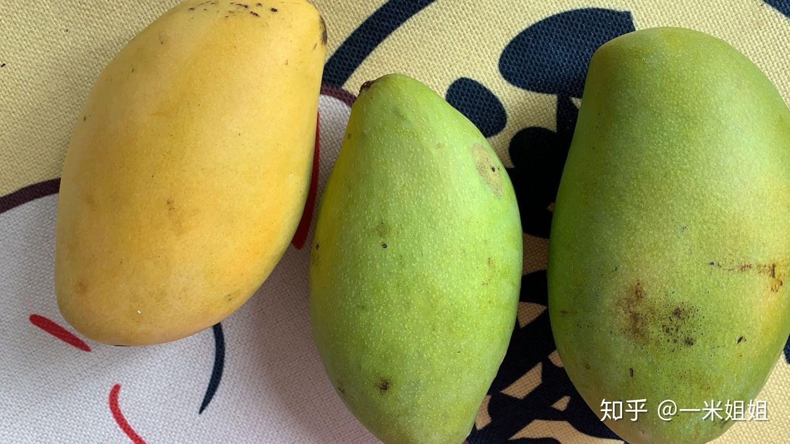 好吃的芒果品种推荐 v2-5b1da4899c3238bc805e09f347304b44_r.jpg